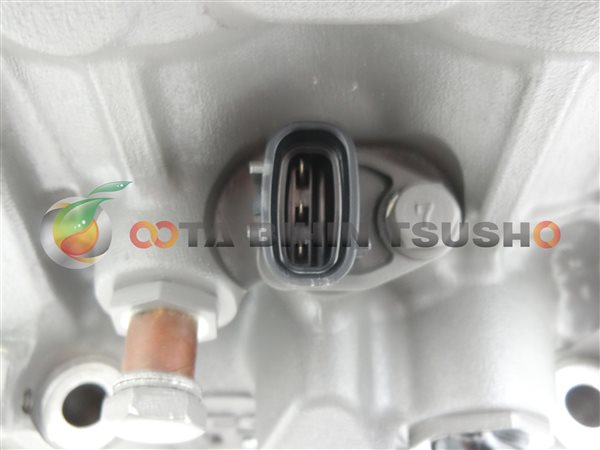 スンバ島イカット6 スンバ島イカット6 PANDAN TREE】スンバ島の織物|インドネシアの